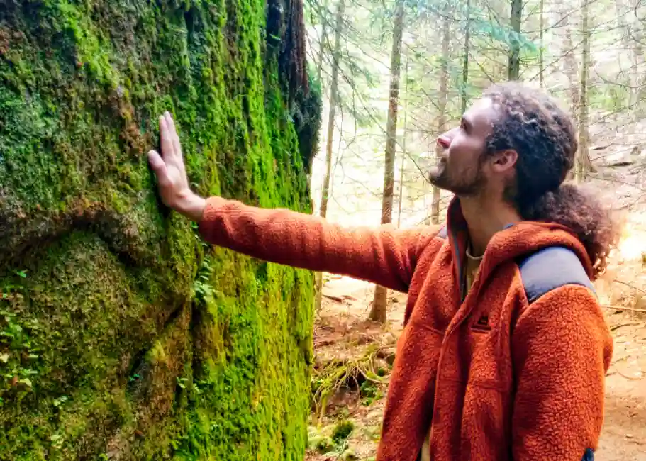 Lukas am Baum